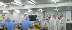 <b>海关部分加大食物添加剂未照实申报等违法行为</b>