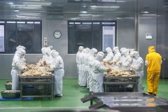 以及促品平安起到鞭策感化